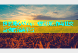 探索糖心Vlog：短视频创作与社交互动的完美平台